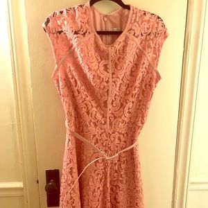 Blush Belted Lace Business Dress